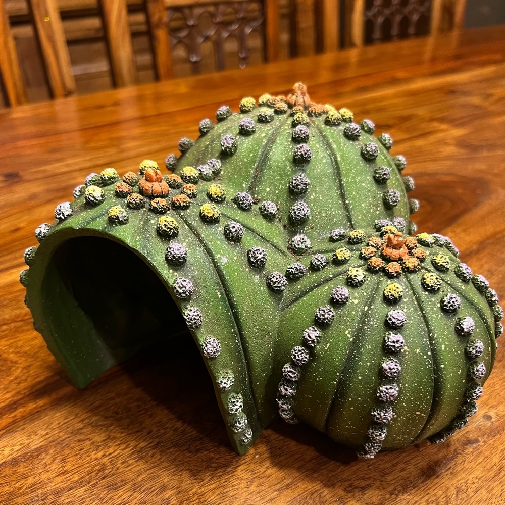 Reptile Hides/Enclosure-used